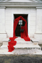 Load image into Gallery viewer, The Vampire Hunting Kit PRE-ORDER